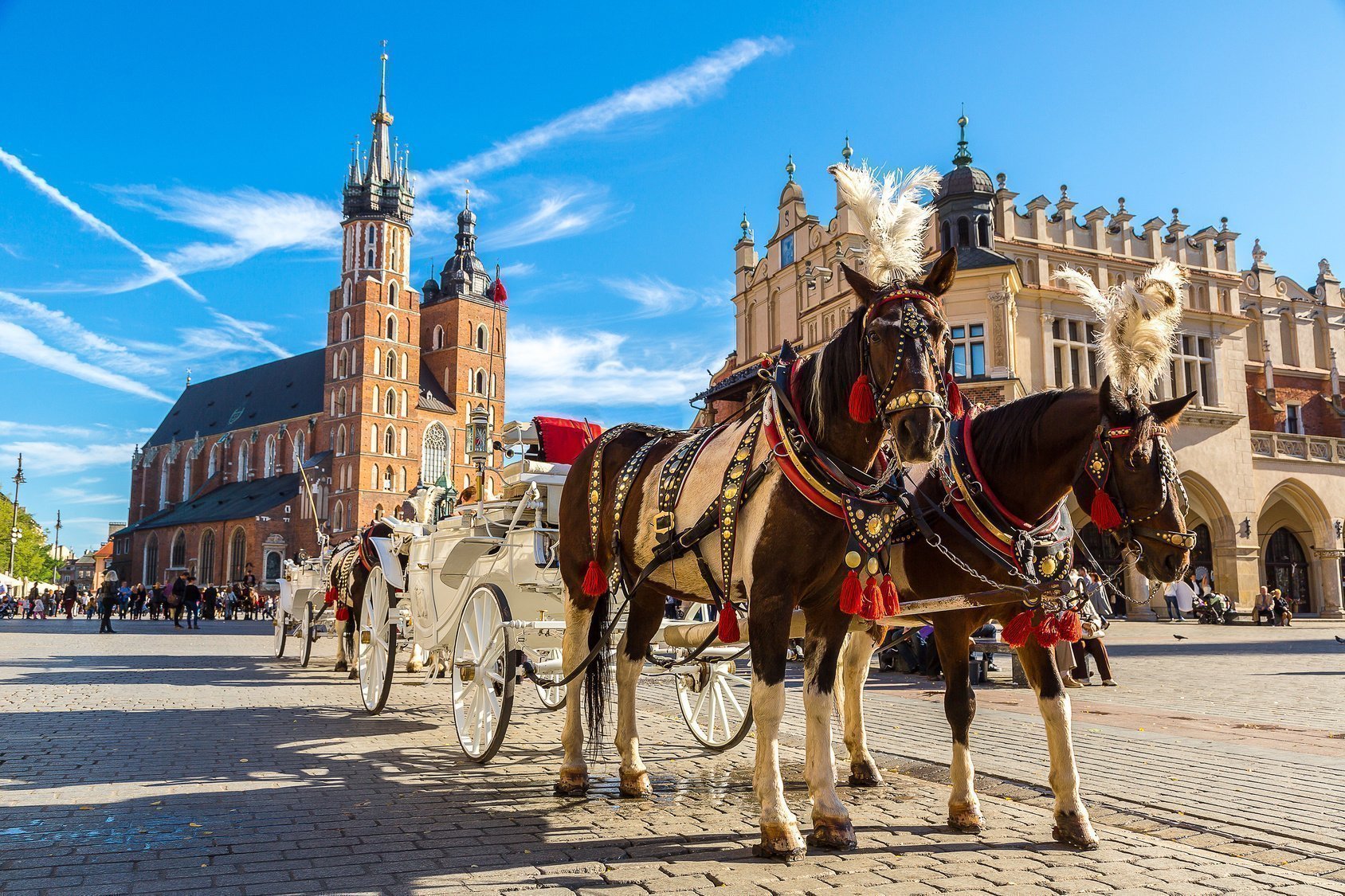 Miasto Królów Polski